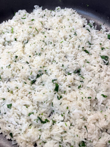 Top down view of a plate full of cilantro lime rice. Grey plate with white rice and specs of green cilantro.